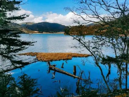 77spins Casino Mobiilirakendus